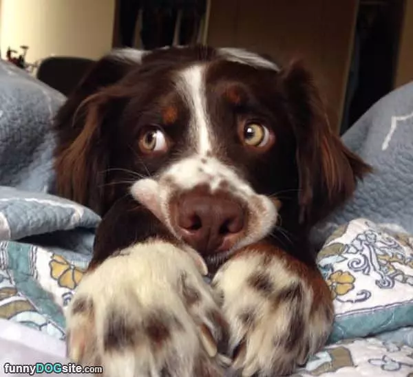 Stretching As Cute As I Can