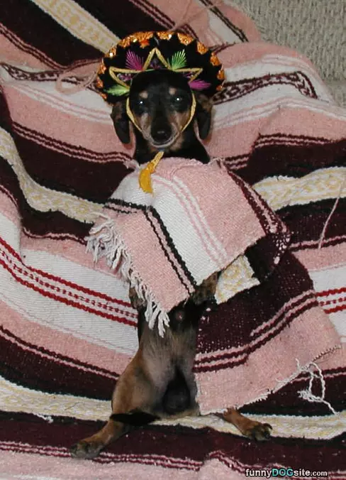 South Of The Border