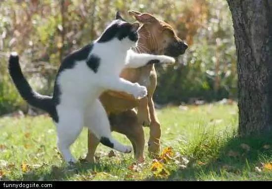 Left Hook