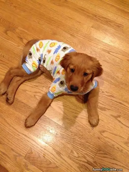Puppy Pajamas