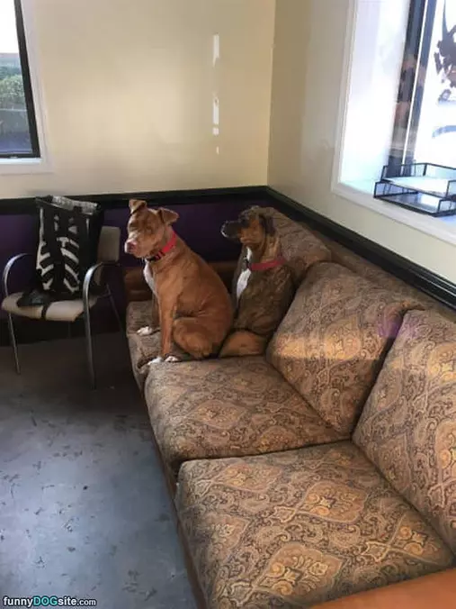 No Place Else To Sit