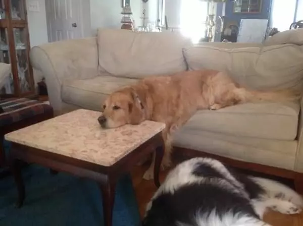 Where I Nap