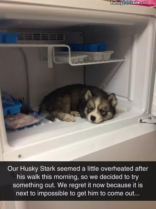Overheated