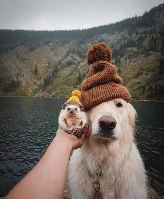 Me And My Guy