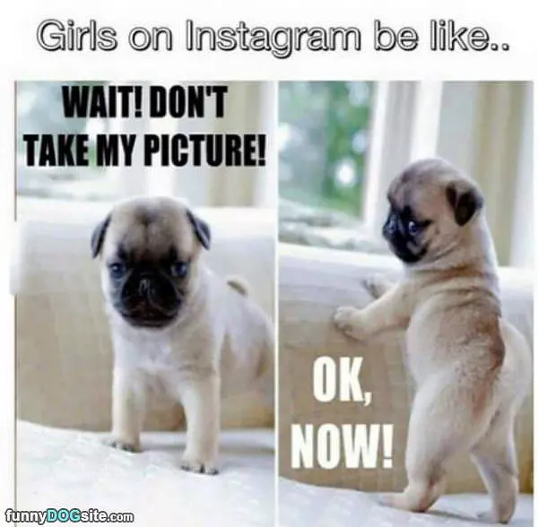 Take My Picture