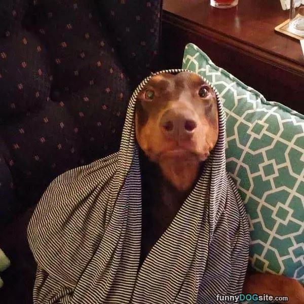 I Am Cuddled Up