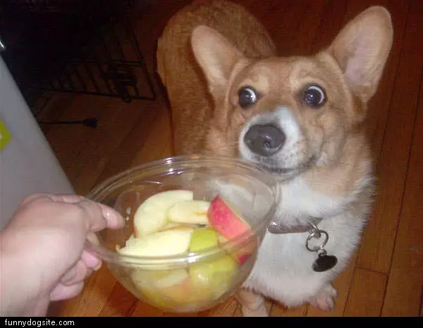 Wants Some Fruit