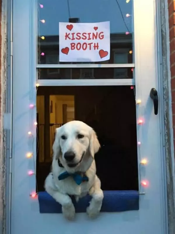 A Kissing Booth