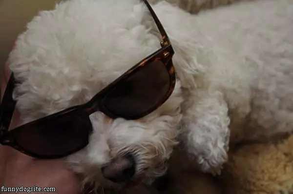Taking A Power Nap