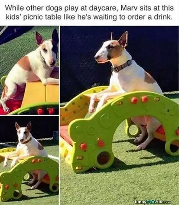 Waiting For A Drink