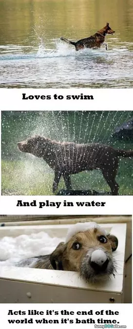 Bath Time