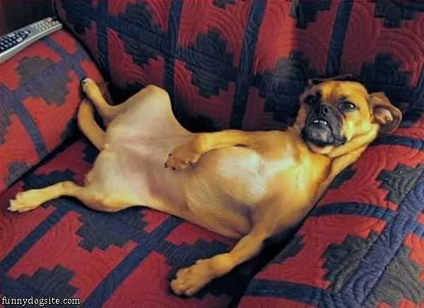 So Lazy Today