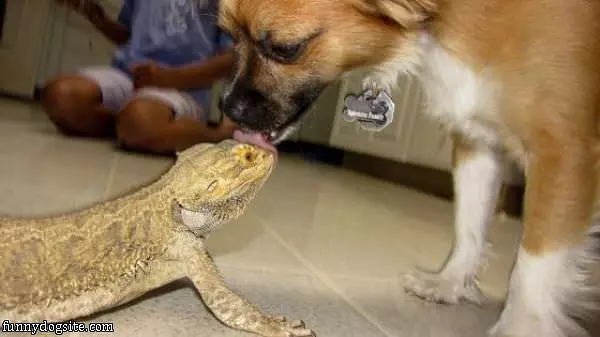 Let Me Get That For You