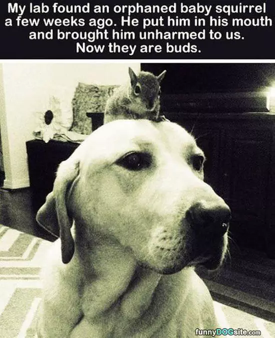 Good Friends Now