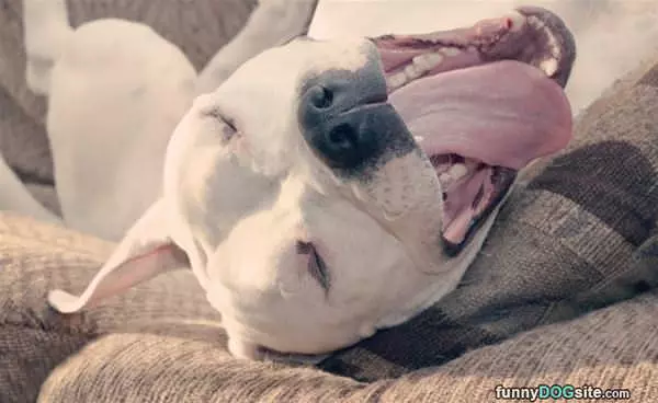 How I Nap