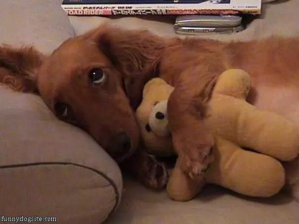 This Is Mine K