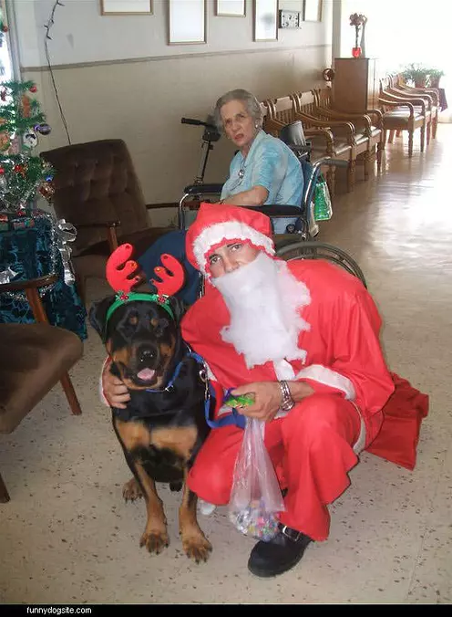 Bullet With Santa