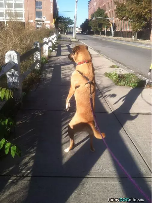 Standing And Walking