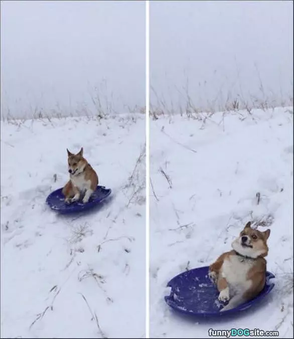 I Love Sledding
