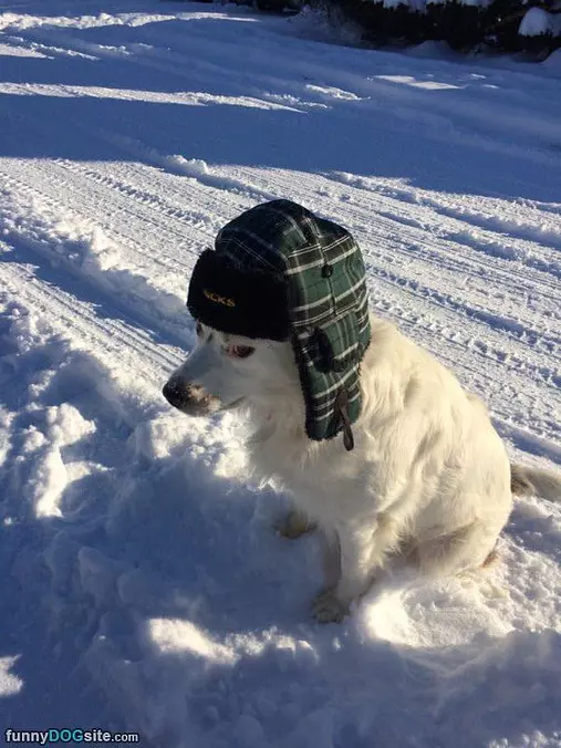 Nice Warm Hat