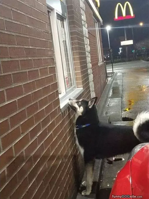 Snack Please