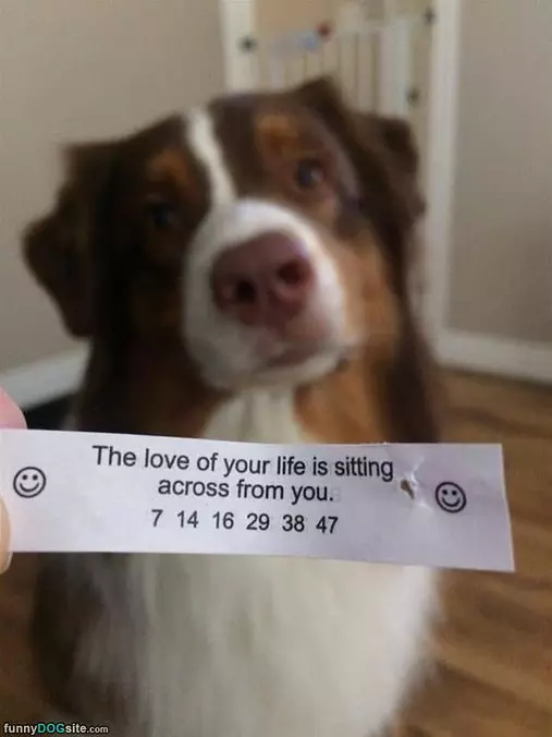The Love Of Your Life