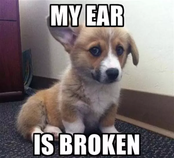 My Ear