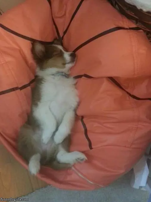 Sleep Where I Want