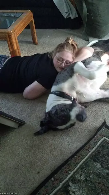 What A Great Pillow
