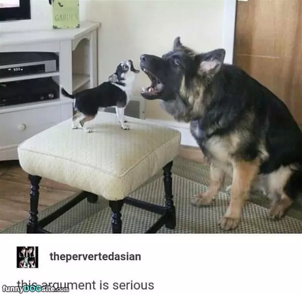 This Is A Serious Argument