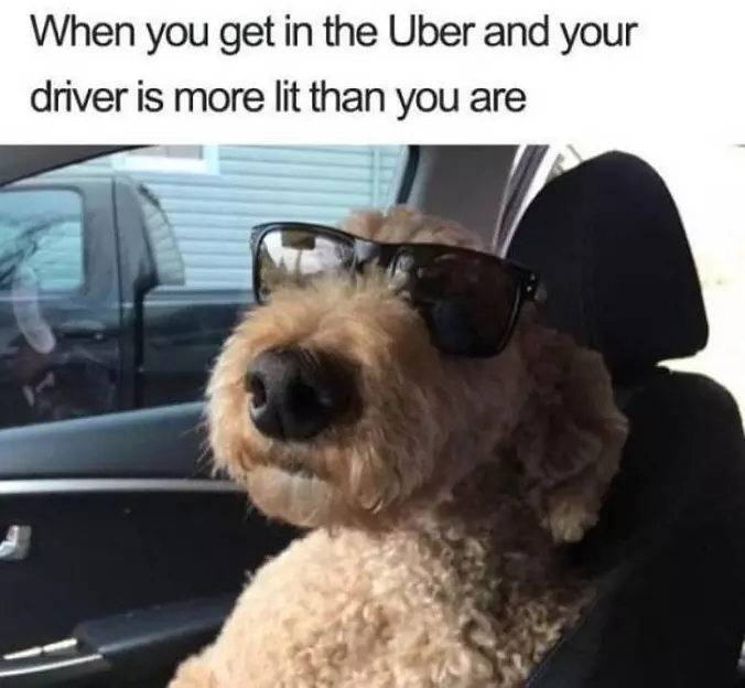 More Than You