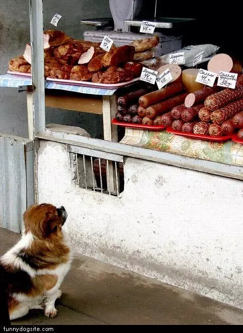 One Of Each Please