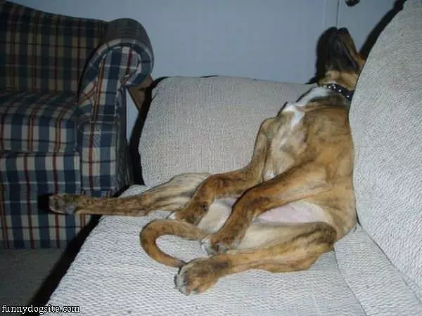 Such A Sleepy Day