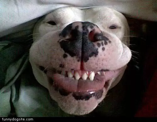 Smiley Face
