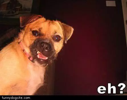 Eh