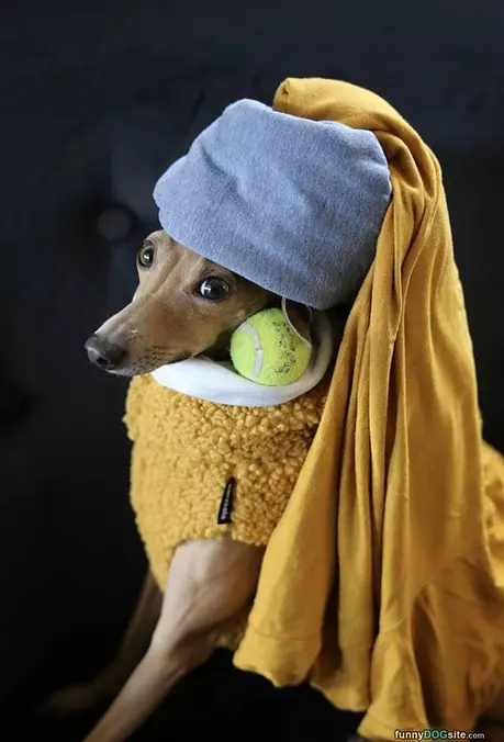 Nice Costume