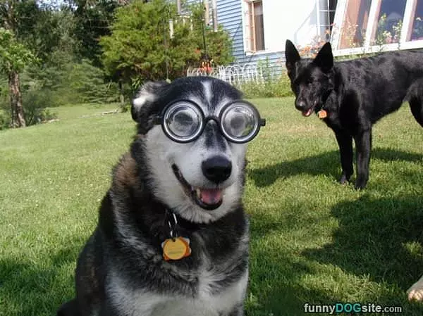My Glasses