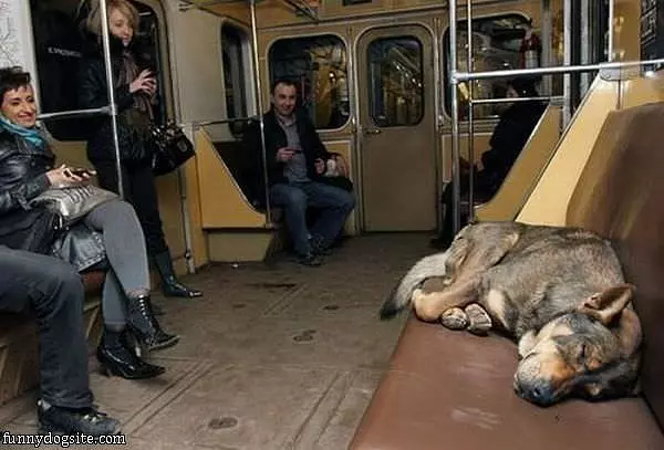 Next Stop