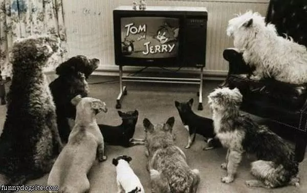 Tom And Jerry Time