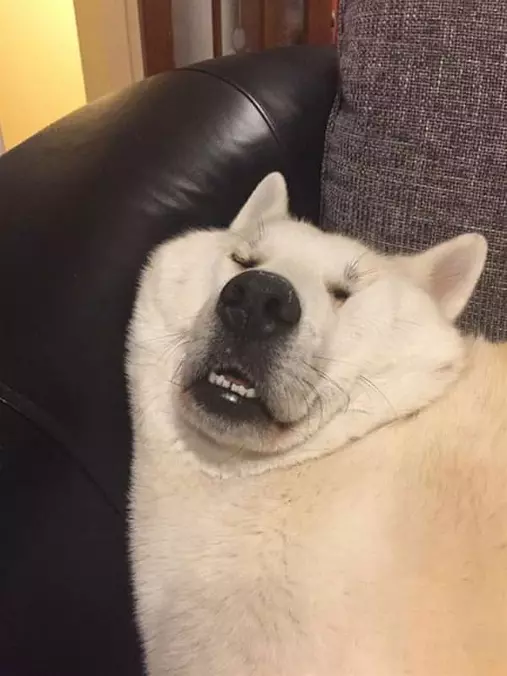Sooooo Passed Out