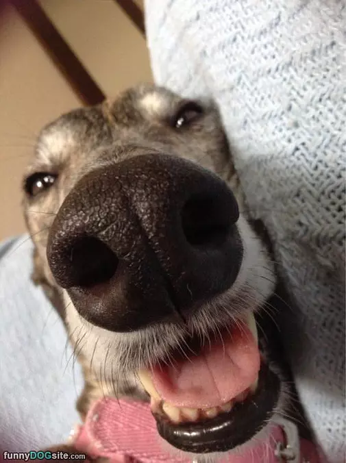 Hahaha Woke Up To Close Up