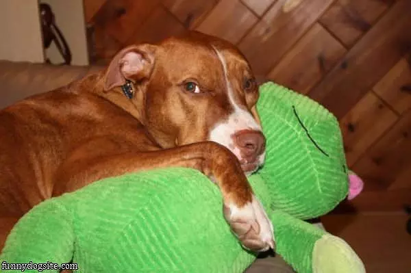 Just Want To Sleep
