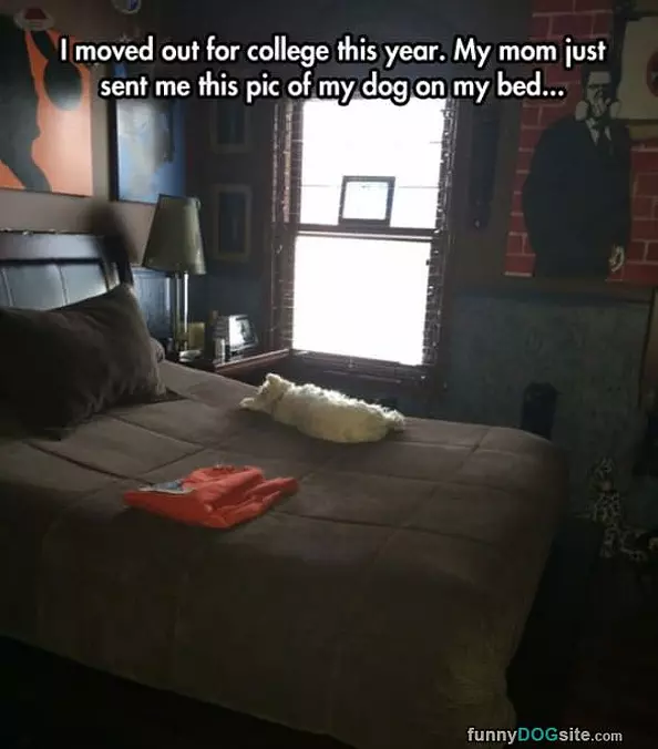 Moved Out To College