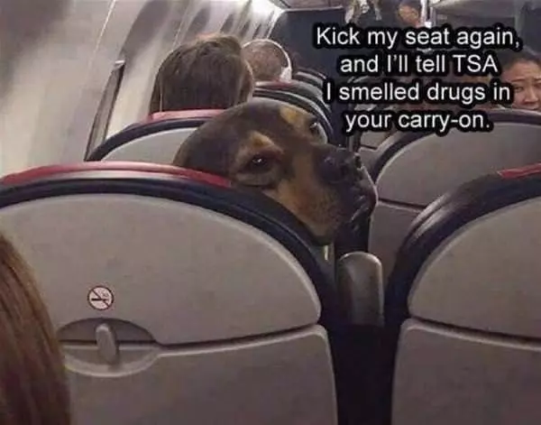 Kick It Again