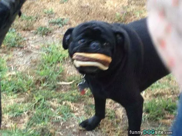 I Got The Burger