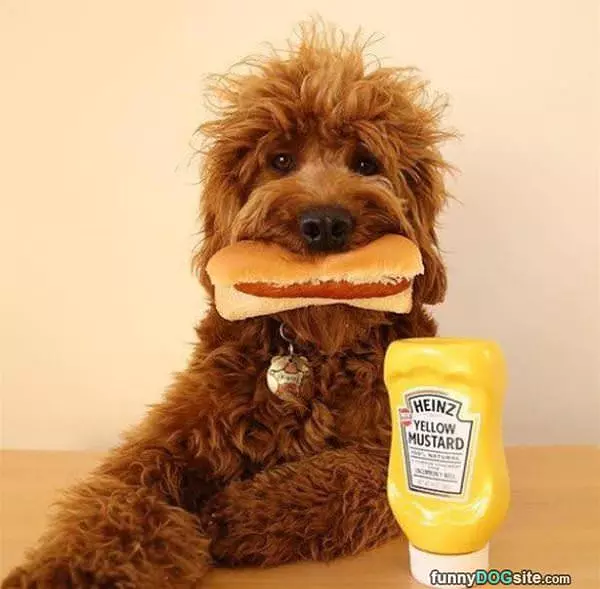 I Love Hot Dogs