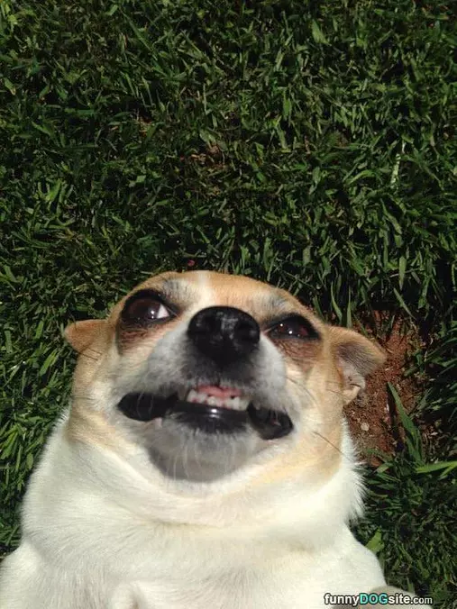 Garbbbbb