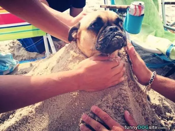 Playing At The Beach