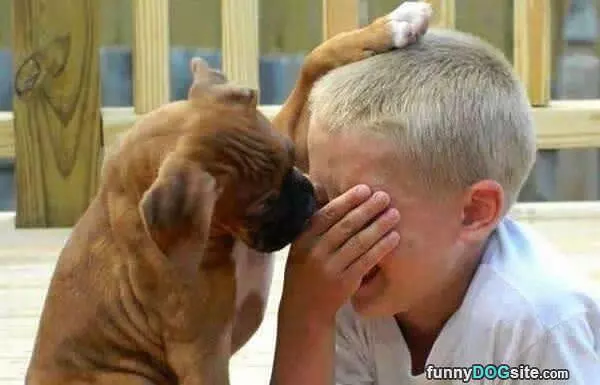 Its Ok