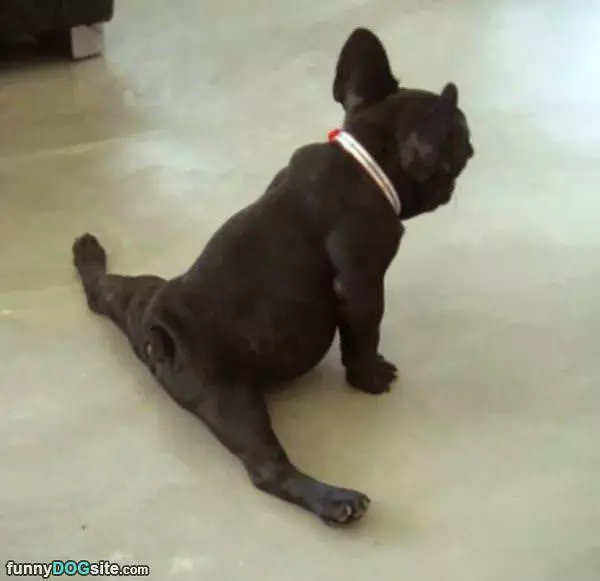 Doing My Splits